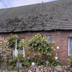 26835 Holtland ,  Einfamilienhaus mit 4 Einheiten